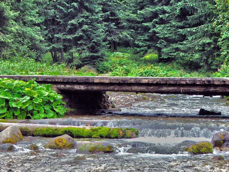 foot bridge over the river in the park