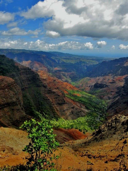 landscape of the waimea canyon