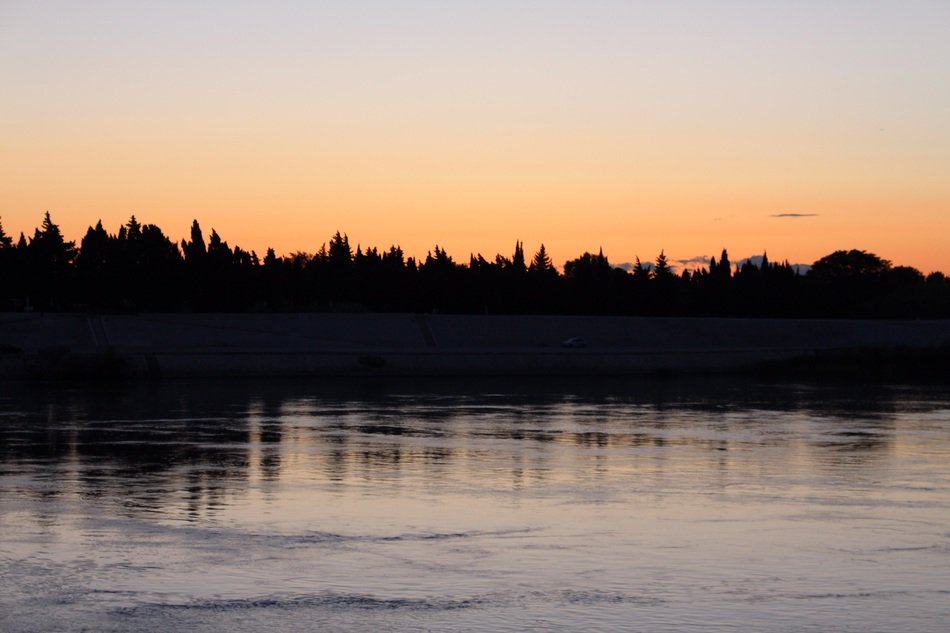Silhouette trees near the lake in the evening