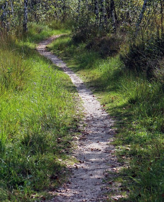 splendiferous away path