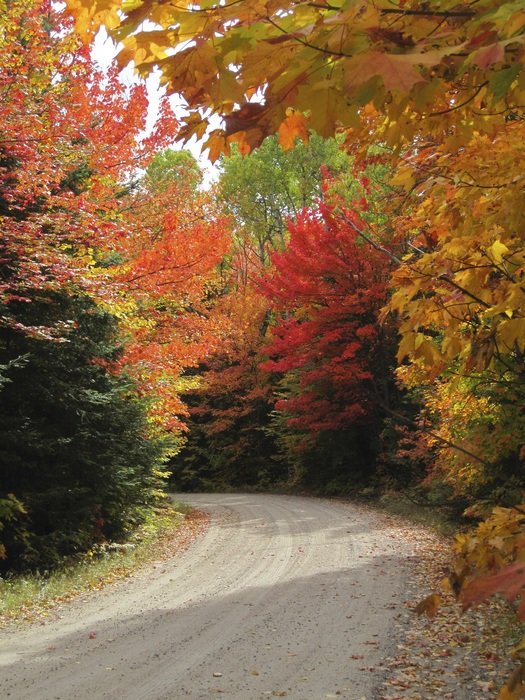 road against the bright autumn landscape