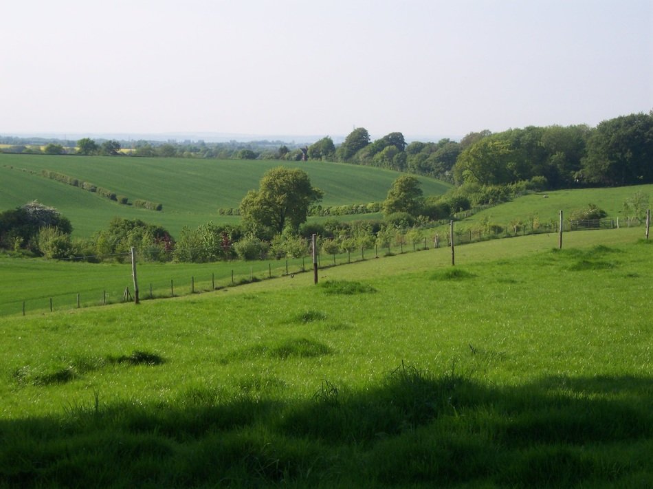 idyllic green countryside, uk, england, north downs, kent