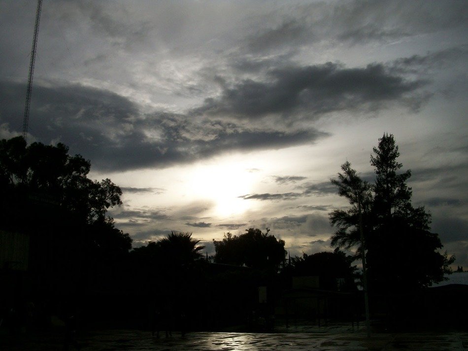 twilight over the trees in the countryside