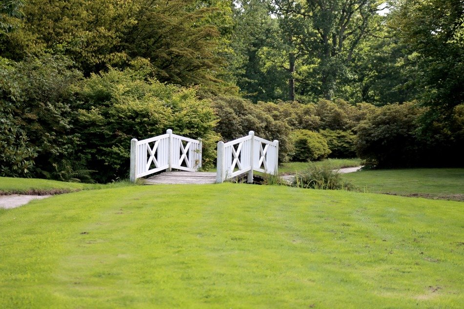 bridge with white railing on lawn at summer