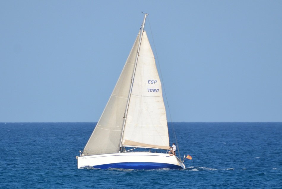 sailing sea in the blue ocean