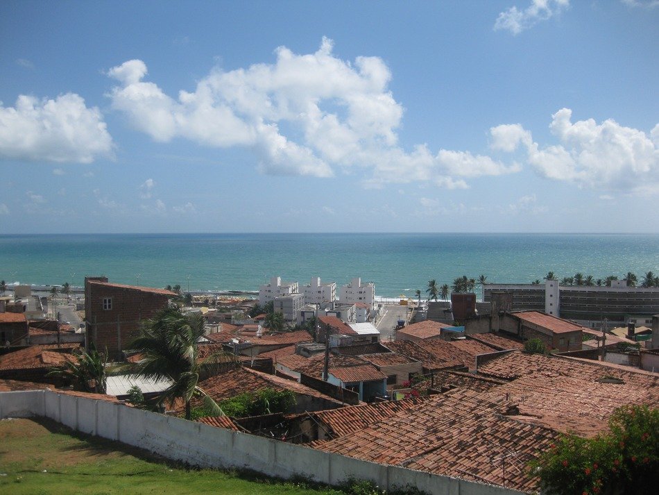 fenced villages on coast, top view