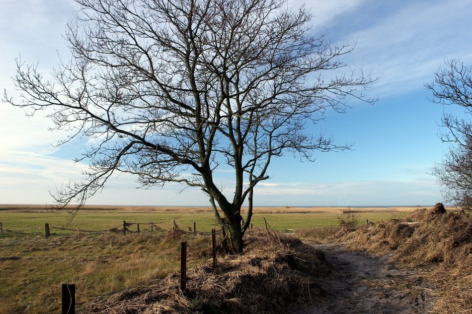 the nature of the North Sea