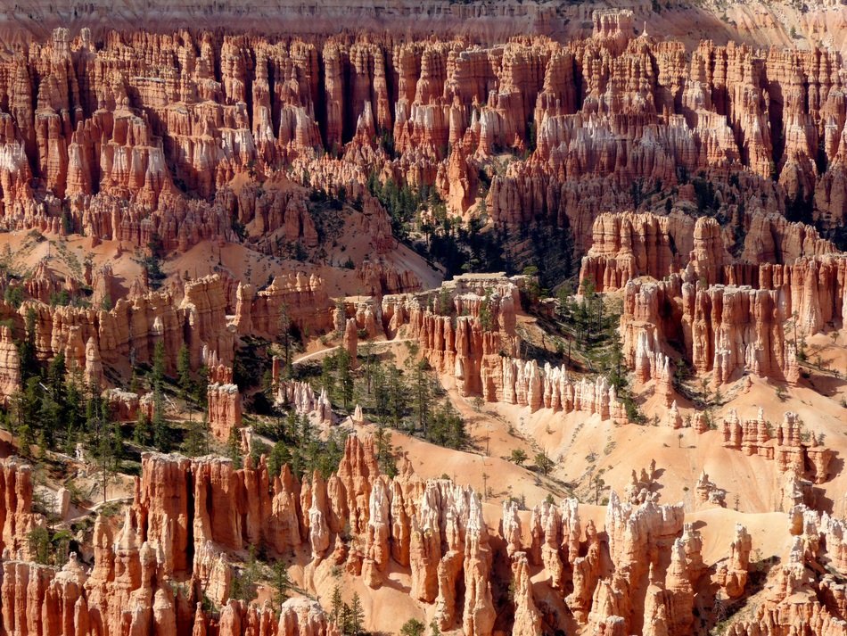 Landscape of the canyon in Utah