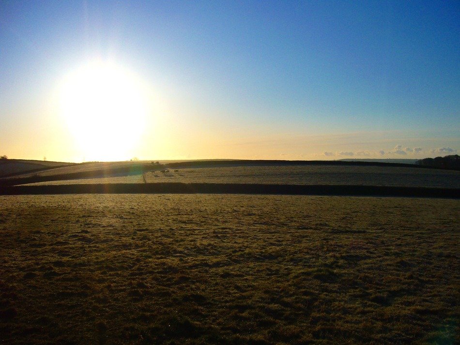 Rural view in Devon