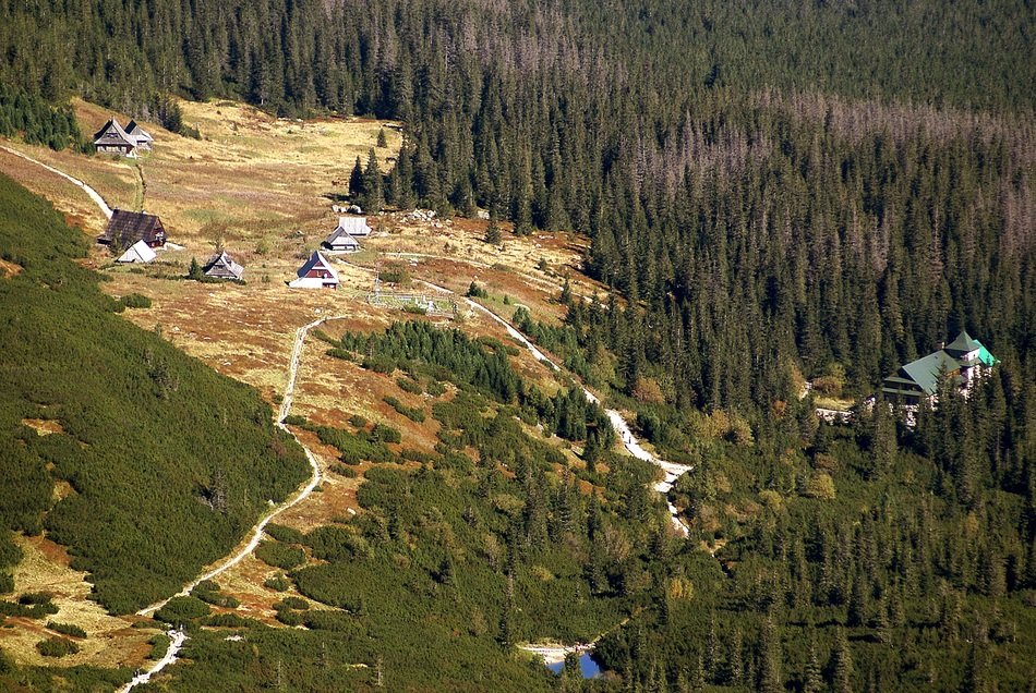 Beautiful and colorful Gasienicowa Valley with trees in the national park