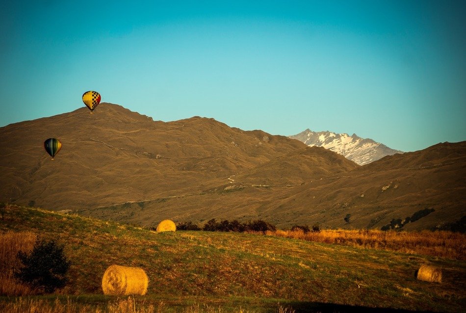 bendemeer estates, new zealand