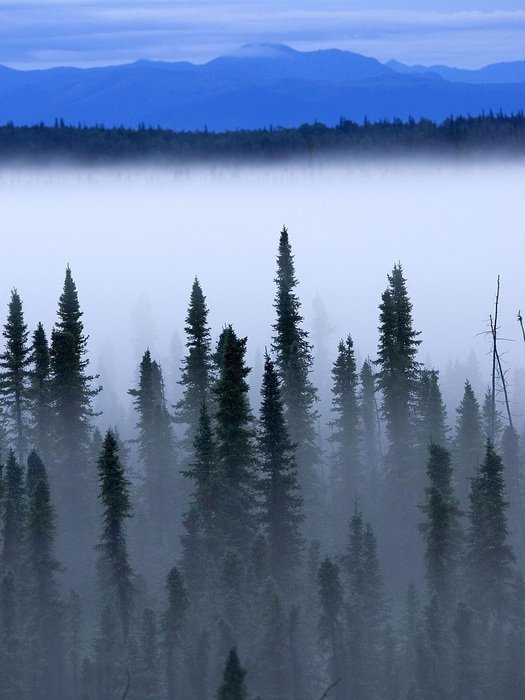 panorama of thick fog over the lake