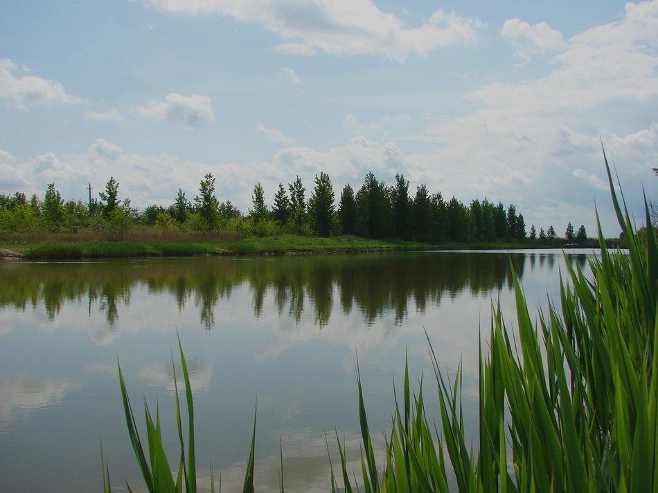 calm fishing lake landscape in hungary