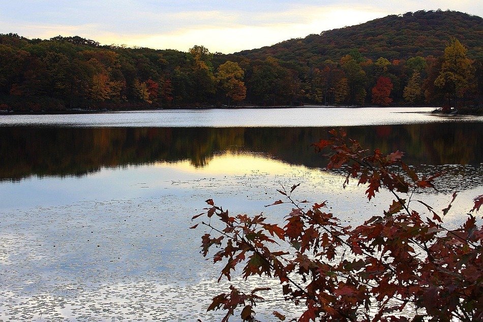 Landscape of the lake in autumn