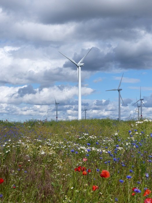 Renewable on a field