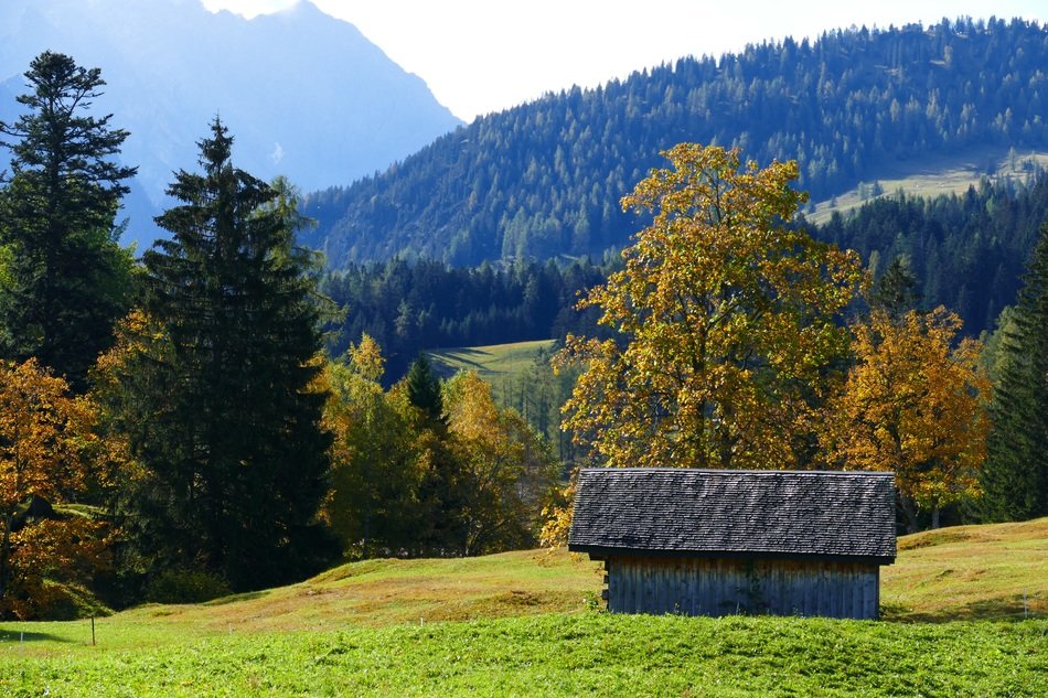 Autumn Alpine landscape