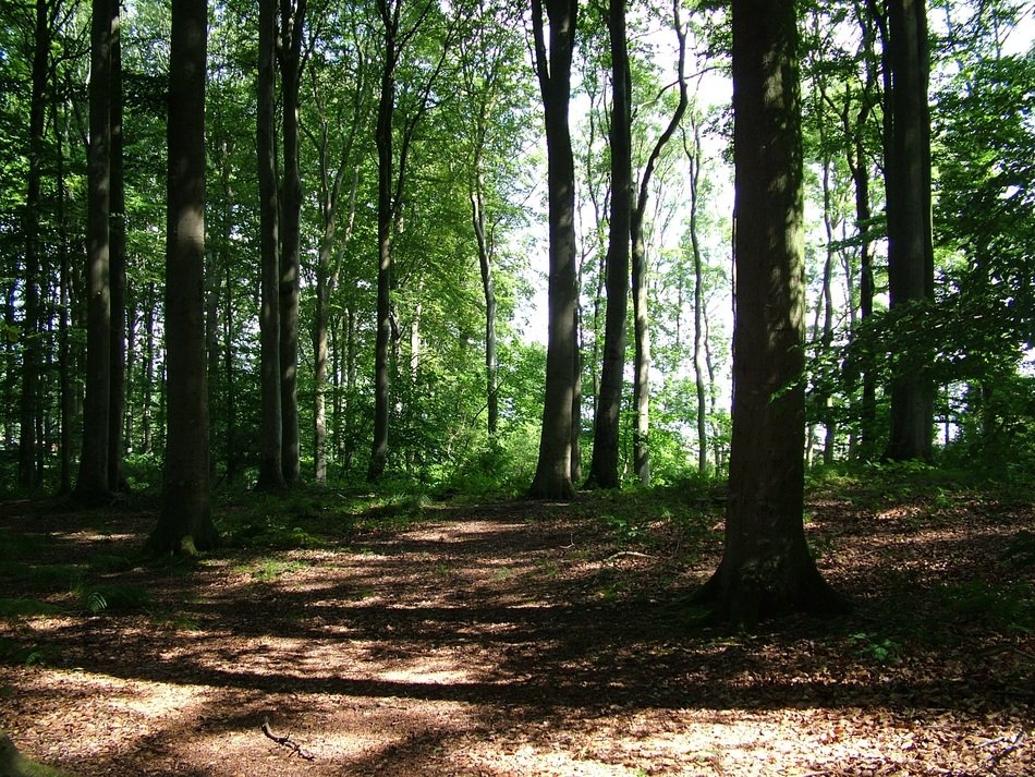 frühlingsanfang