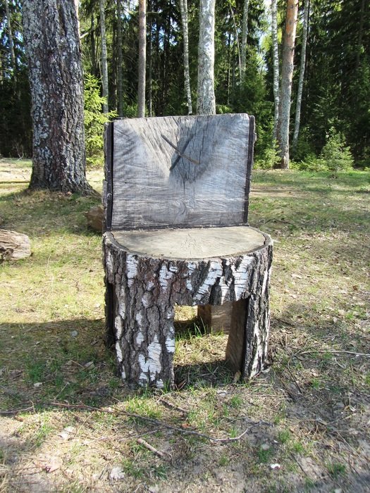 chair in the forest