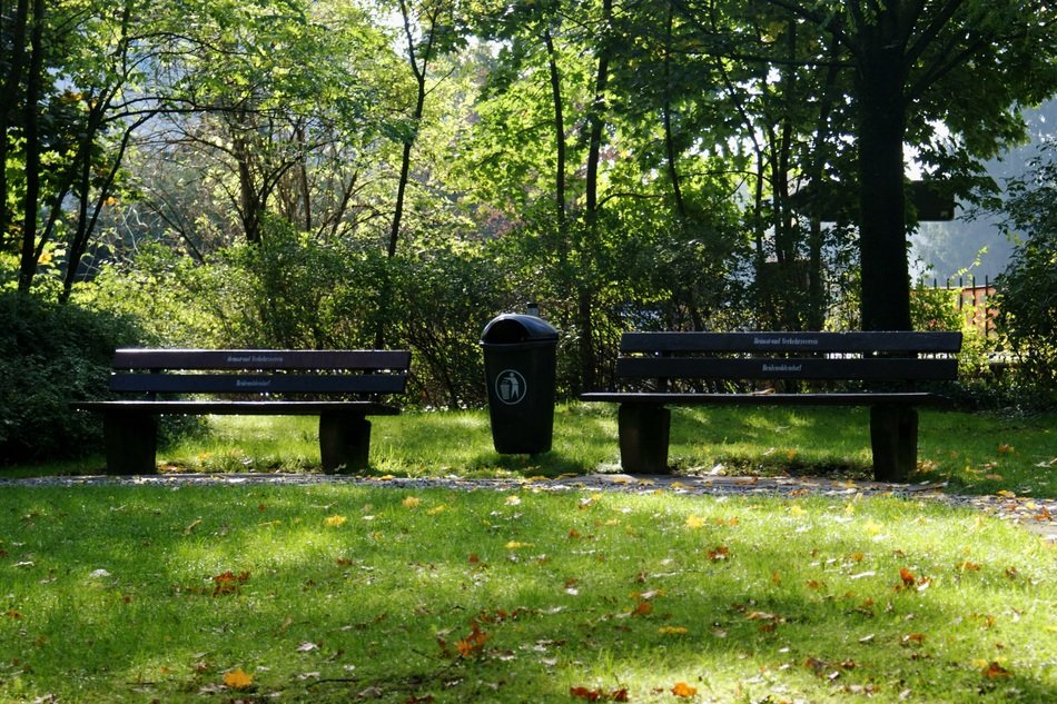 Benches in the green park