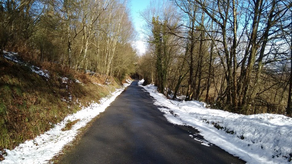 snow on the edges of the road