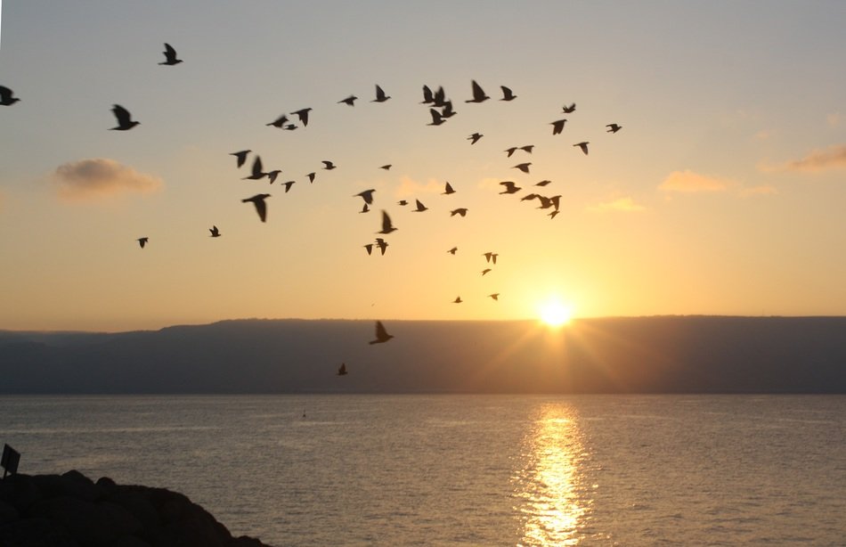 galilee israel sunrise outdoors