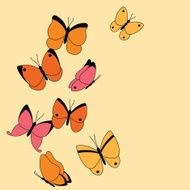 Colorful Butterflies N2