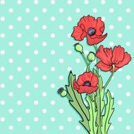 bouquet of poppy flowers