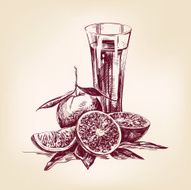 orange juice vintage hand drawn vector illustration