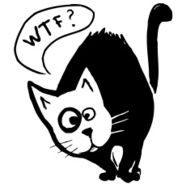 Funny black cat with speech bubble