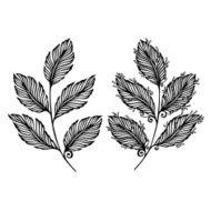 Original Decorative Leaf with Ornament (Vector) N15