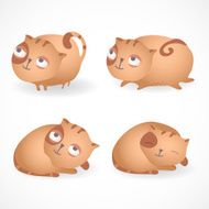 Set of four funny cats isolated on white