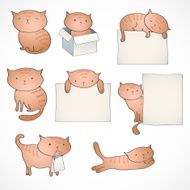 Set of four funny cats isolated on white N2