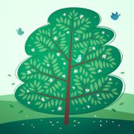 Big green tree
