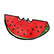 Cartoon Watermelon Slice N31