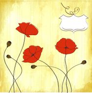 poppies floral background N8