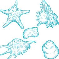 Sea shells and star Hand drawn illustration in vintage style