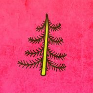 evergreen tree