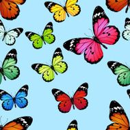 vector seamless pattern of colored butterflies N2