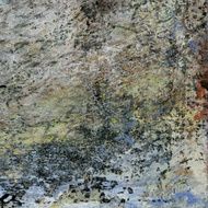 Painted Texture N10
