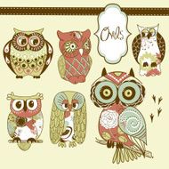 Collection of six different owls
