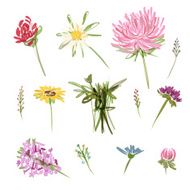 Set of garden flowers sketch for your design