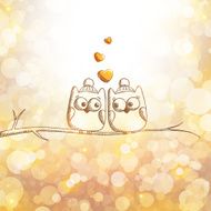 card with owls N3