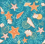 Seashell Design