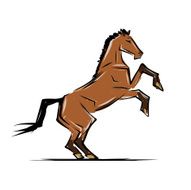 Horse sketch for your design Symbol of 2014 year N7
