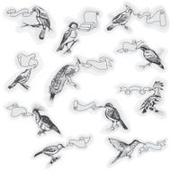 Hand drawn Birds with Signs