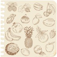 Sketchbook Fruits