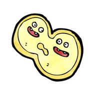cartoon dividing cell N2
