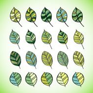 Lots of Leaves