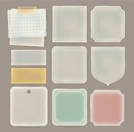 Transparent paper label in various shape