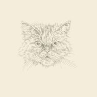 Art graphic hand draw background
